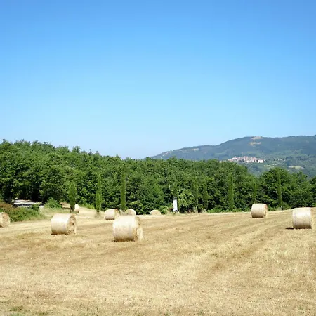 Holiday home La Casina By Interhome Gabellino